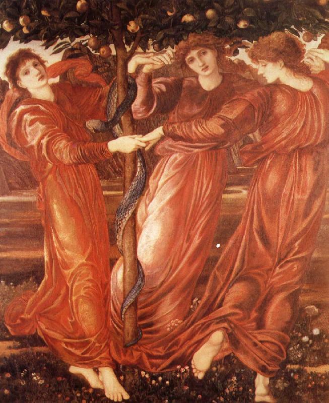 Sir Edward Coley Burne-Jones The Garden of the Hesperides France oil painting art